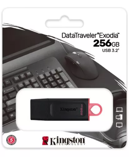 Pen Drive 256Gb 3.2 Kingston DTX
